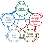 The 5 Element Chart used for pet food