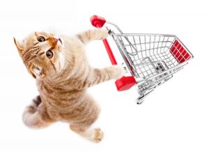 Cat Shopping Cart