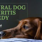 Image for Natural Dog Arthritis Remedy