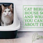 Image for Feline House Soiling and What You Can Do