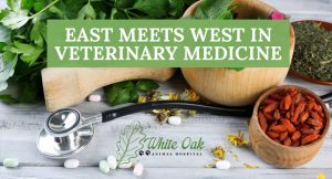 regular western veterinary services plus eastern veterinary medicine at white oak animal hospital in Fairview, tn