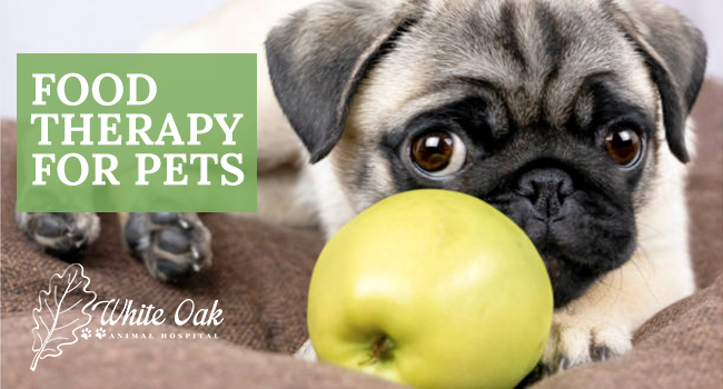 Image for Food Therapy for Pets at White Oak Animal Hospital in Fairview TN