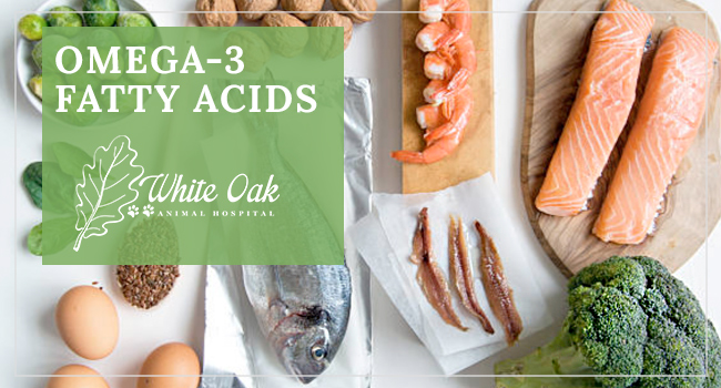 image for: Can Omega 3 Fatty Acid Supplements For Pets Help Skin Allergies?