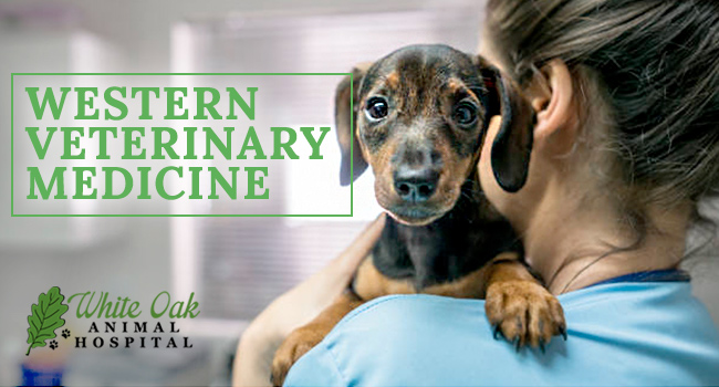 Image for Western Veterinary Medicine