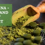 iBenefits of Spirulina Supplements For Dogs
