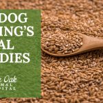 image for: Best Dog Cushing’s Herbal Remedies