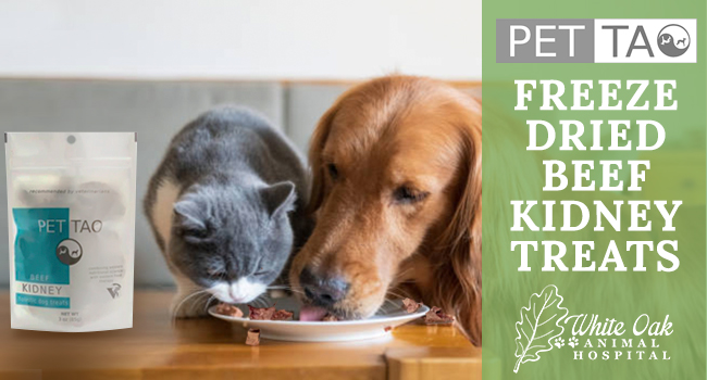 Why Give Your Pet Freeze Dried Beef Kidney Treats - White Oak Animal  Hospital