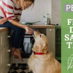image for: Benefits of Freeze Dried Salmon Treats For Pets