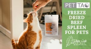 Why Feed Cats and Dogs Freeze Dried Beef Spleen For Pets at white oak animal hospital, fairview animal clinic, petvet, fairview tn veterinarian, animalia