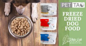5 Benefits Of Feeding Freeze Dried Dog Food at white oak animal hospital, fairview animal clinic, petvet, fairview tn veterinarian, animalia