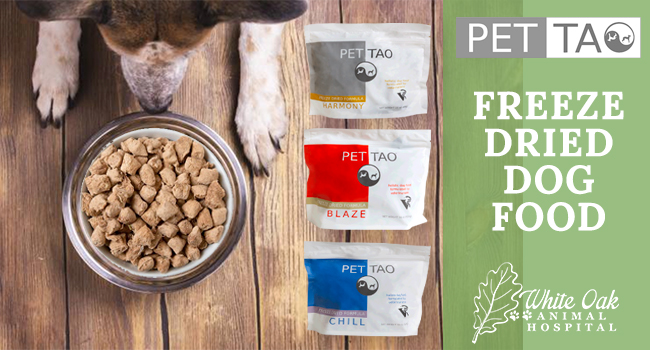 5 Benefits Of Feeding Freeze Dried Dog Food - White Oak Animal Hospital