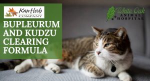 Give Your Pet Natural Herbs For Cat Nervous System Problems at white oak animal hospital, fairview animal clinic, petvet, fairview tn veterinarian, animalia