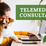 image for: Benefits Of A Telemedicine Consultation For Pets