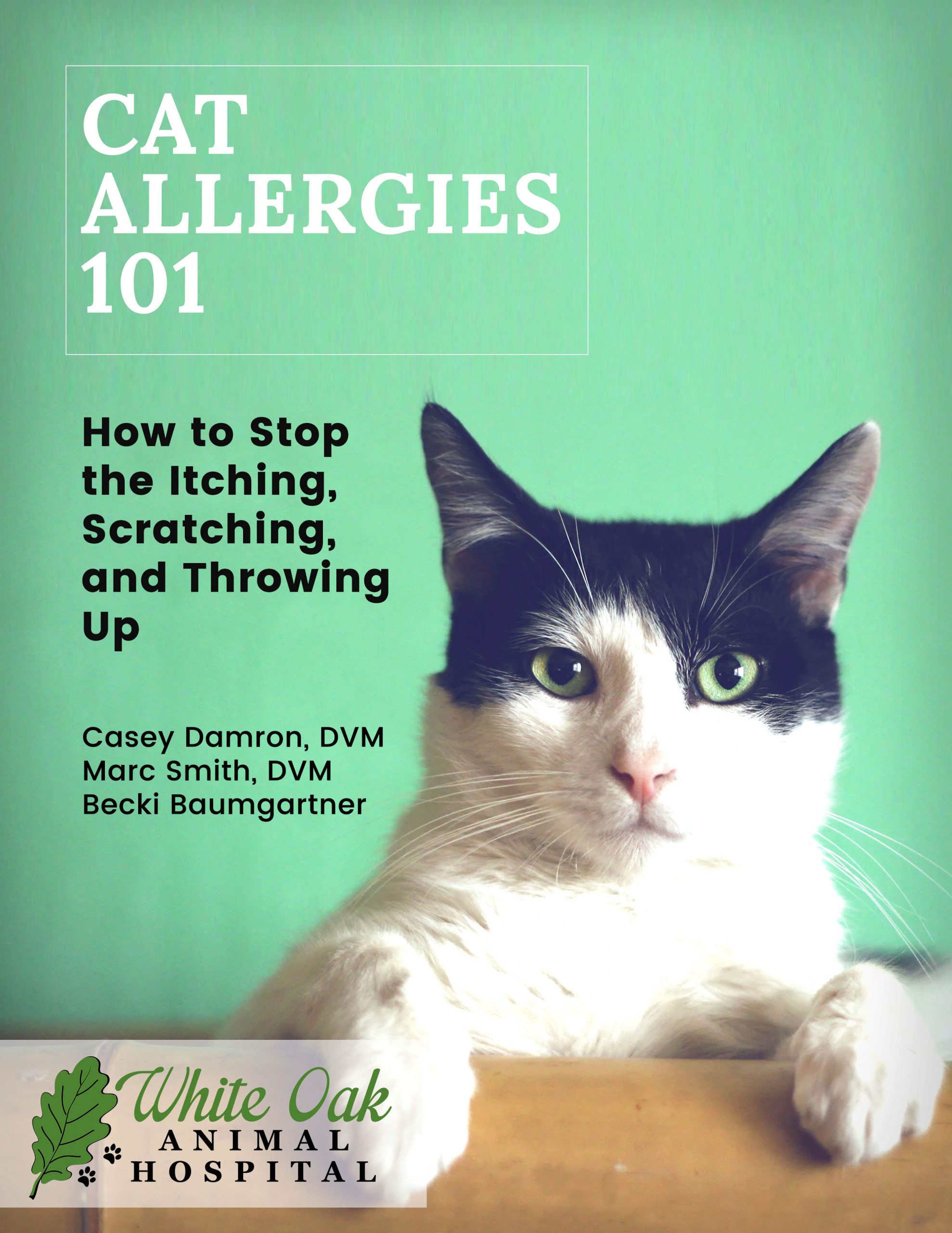 Free Cat Allergies Manual Help Your Cat Feel Better!