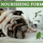 Why Herbal Treatment May Benefit Hypothyroidism In Dogs at white oak animal hospital, fairview animal clinic, petvet, fairview tn veterinarian, animalia