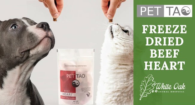 Image for Restore Heart Energy With Freeze Dried Beef Heart for Pets