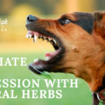 image for: How to Alleviate Dog Aggression With Natural Herbs