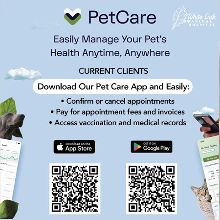 PetCare app by DaySmart Vet