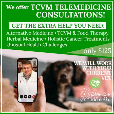 TCVM Telemedicine Consultations