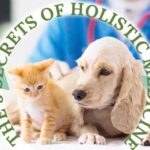 5 Secrets of holistic medicine650x350px