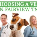 Choosing a Vet in Fairview TN
