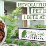 Revolutionizing pet health 1 bite at a time650x350px