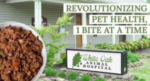 Revolutionizing pet health 1 bite at a time650x350px