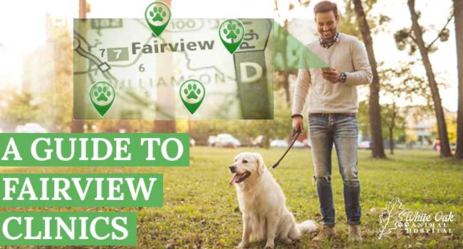 A Guide to fairview clinics 600X350