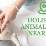 Holistic animal care near me