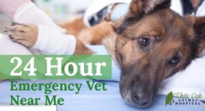 24 hour emergency vet near me