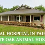 Animal Hospital in Fairview
