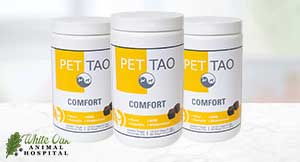 PET|TAO Comfort Supplement