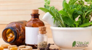 Herbal therapies in veterinary medicine use natural plant materials combining multiple herbs offering broader health benefits