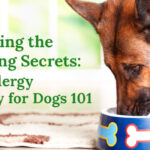 Unlocking-the-Shocking-Secrets--Food-Allergy-Therapy-for-Dogs-101