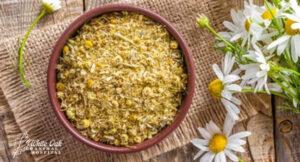 chamomile