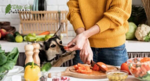 special-diets-to-manage-food-components-that-trigger-adverse-reactions-in-dogs
