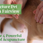 Acupuncture-Pet-Clinic-in-Fairview--Unlock-the-4-Powerful-Benefits-of-Acupuncture