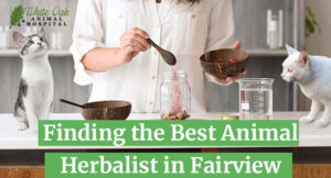 Finding-the-Best-Animal-Herbalist-in-Fairview--The-#1-Path-to-Pet-Wellness
