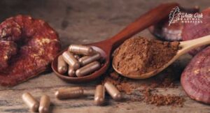 Reishi-a-medicinal-mushroom-helps-with-immune-suppression-caused-by-radiation
