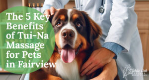 Th5 Key Benefits of Tui-Na Massage for Pets in Fairview