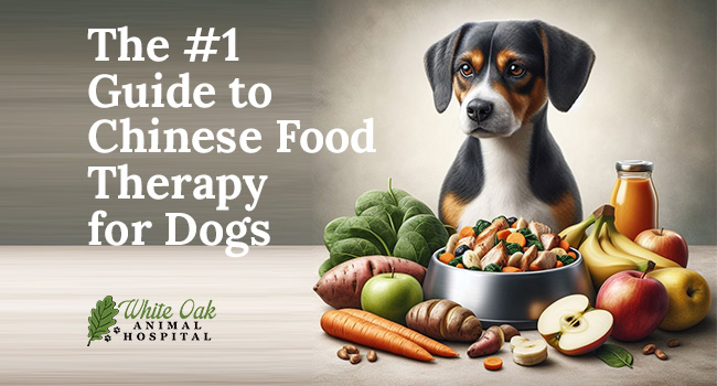 The number 1 Guide to Chinese Food Therapy for Dogs- Unleash Their Wellness to Transform Their Health.jpg