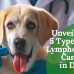 Unveiling 5 Types of Lymphoma Cancer in Dogs: A Comprehensive Guide to Enhancing Quality of Life