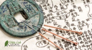 foundation-of-acupuncture-rests-upon-the-principles-of-traditional-Chinese-medicine
