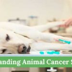 Discover-the-Role-of-an-Animal-Cancer-Surgeon-in-Veterinary-Medicine--Exploring-5-Signs-of-Cancer-in-Pets-That-May-Require-Surgery