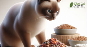 Cat-diets-aim-to-provide-nutrition-while-minimizing-the-risk-of-triggering-allergic-reactions