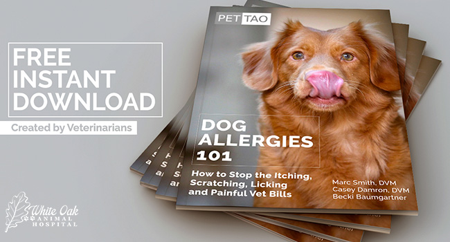Dog-Allergies-ebook-free-instant-download
