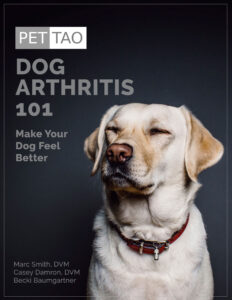 PETTAO_Dog_Arthritis_101