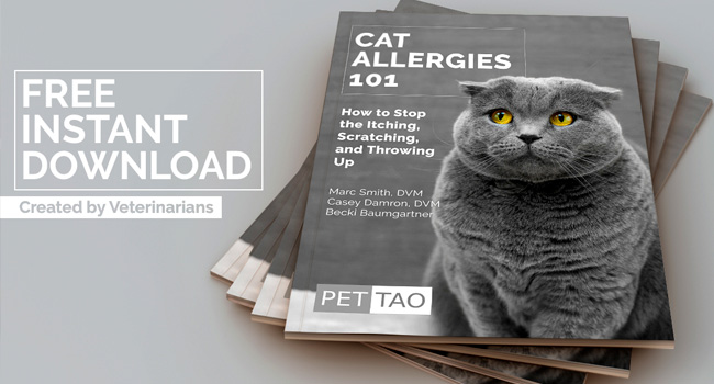PETTAO_Free_Cat_Allergies_101_ebook