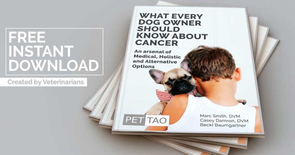 What_Every_Dog_Owner_Should_Know_About_Cancer_ebook