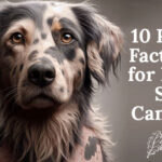 10 Risk Factors for Dog Skin Cancer Every Owner Should Know